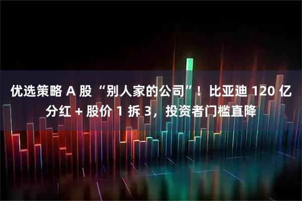 优选策略 A 股 “别人家的公司”！比亚迪 120 亿分红 + 股价 1 拆 3，投资者门槛直降